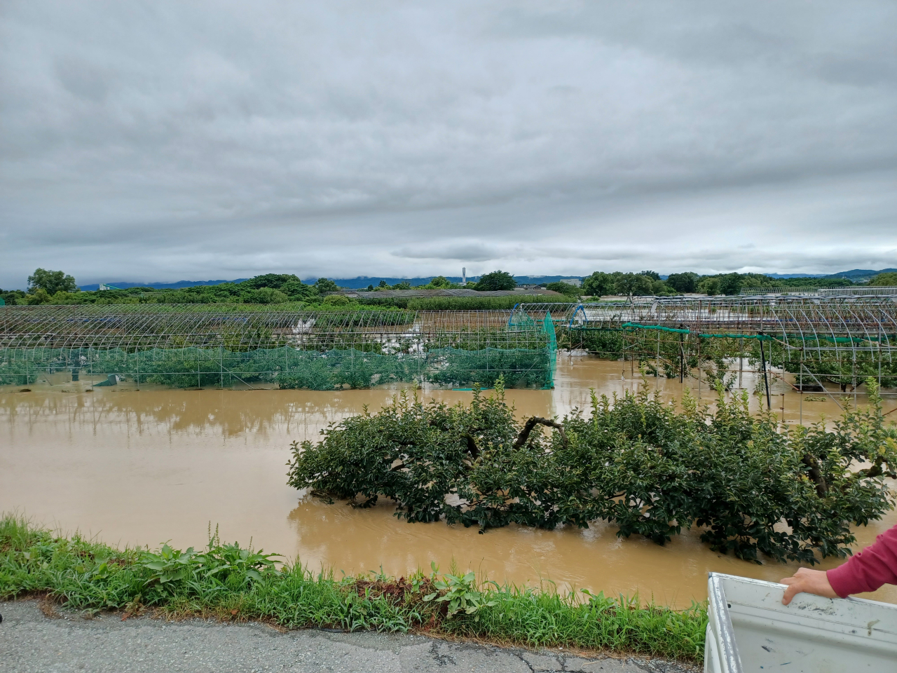 記録的な大雨の観測
最上川の状況を確認
